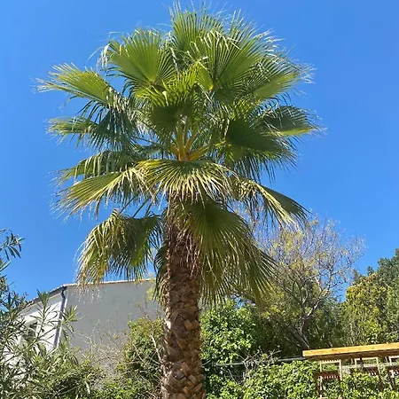 Le Palmier - Perfectly Located Cosy With Private Garden Apartment *