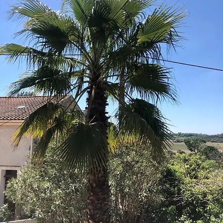 Le Palmier - Perfectly Located Cosy With Private Garden *