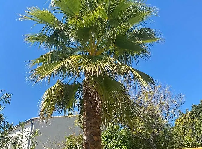 Le Palmier - Perfectly Located Cosy With Private Garden Appartement *