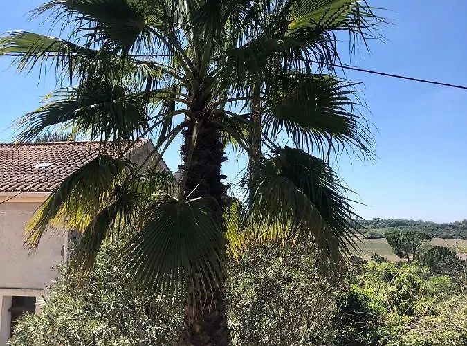 Le Palmier - Perfectly Located Cosy With Private Garden *